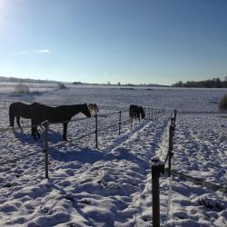 Hiver 2015/2016